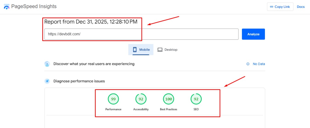 Dev BD IT Page Speed